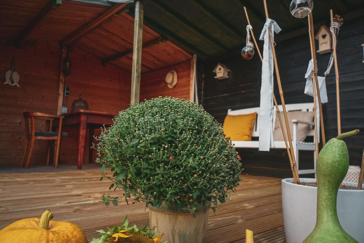 Bed & Breakfast Bloemen Vertellen Elst  Exterior photo